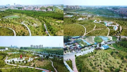 民权精心打造园林绿化景观城