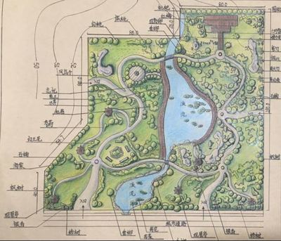 校园快讯丨看看耿丹学院环境设计专业风景园林植物课程展