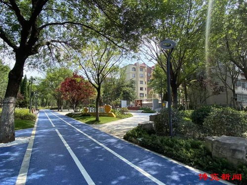 7公里 5.9公里,淄博公园城市再添两条 绿丝带