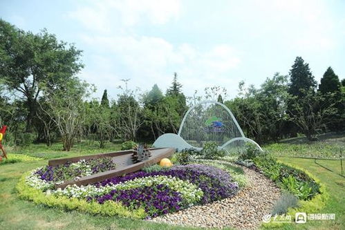提前探秘花境园 淄博市植物园花境展园6月12日向社会开放